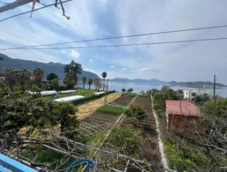 Detached House For Sale On 2000M2 Plot Of Land By The Sea In Marmaris Söğüt Neighborhood. Suitable For Tying A Boat In Front Of It.