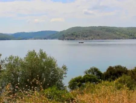 The Island For Sale In The Gulf Of Gökova In Marmaris District Has A Land Area Of 365000M2 And There Is A Registered House In It.