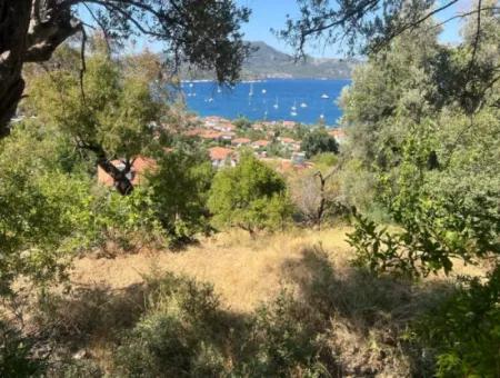 Marmaris Selimiye Mahallesinde Deniz Manzaralı 5200M2 Satılık Arsa 2 Villa Yapımına Yada Otel Yapımına Uygun Gayrimenkul